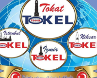 TOKEL VİNÇ ALIM SATIM KİRALAMA